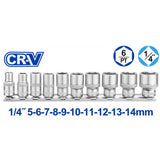 10 Pcs 1/4" Hexagon Socket Set WST4410