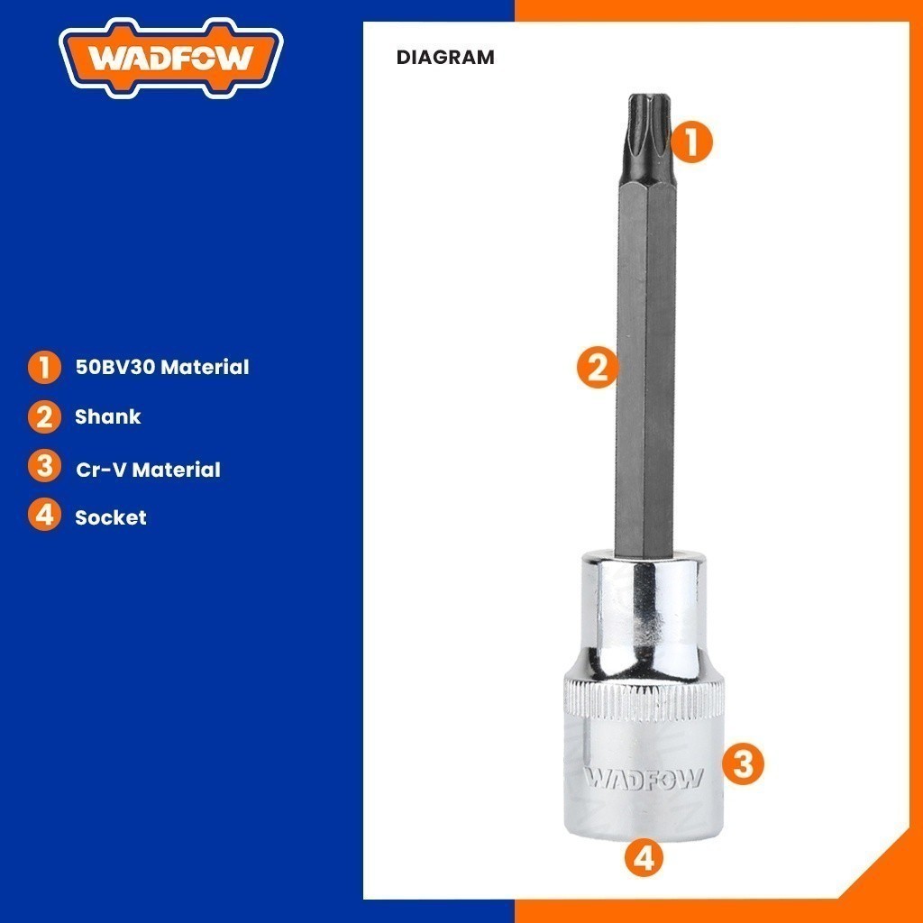 WSC521 Hexagonal 1/2" Long Torx Bit Socket